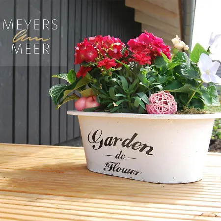 Schwarzes Holzferienhaus Mit Sauna In -- Sonneneck -- 500m Zum Ostsee-strand, 4 - 6 Personen *