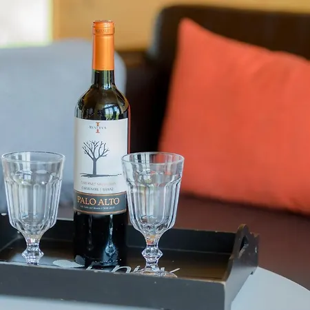 Schwarzes Holzferienhaus Mit Sauna In -- Sonneneck -- 500m Zum Ostsee-strand, 4 - 6 Personen *